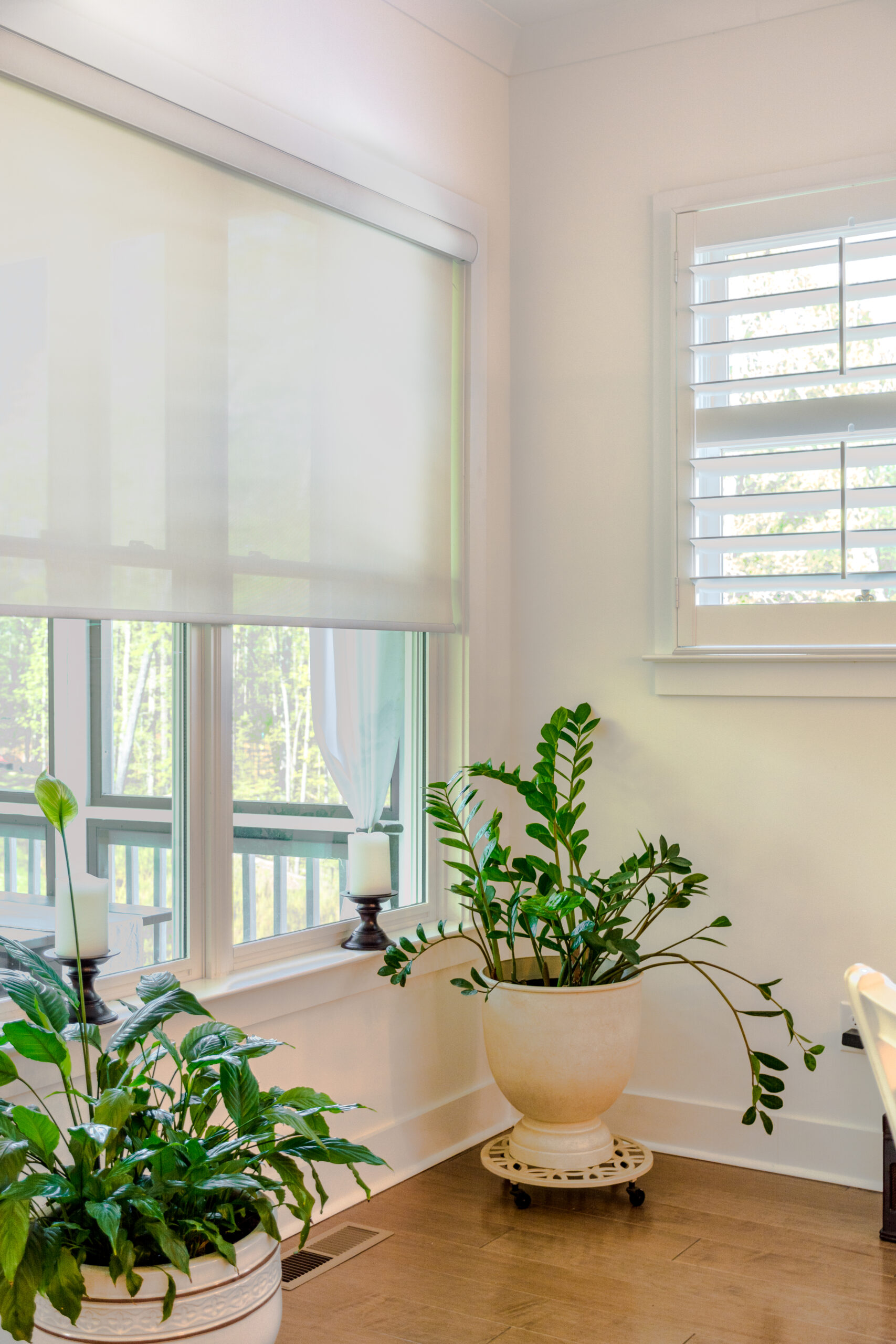 Roller Shades with Plants