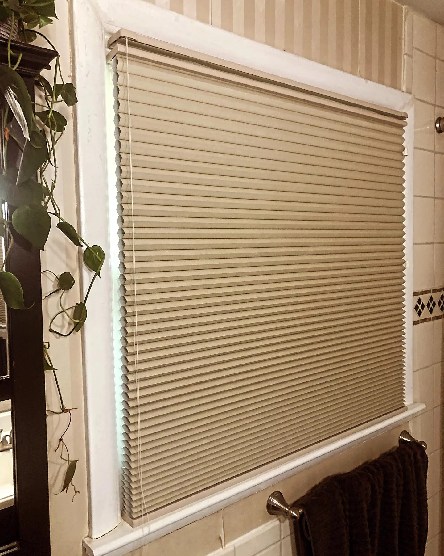 honeycomb shades