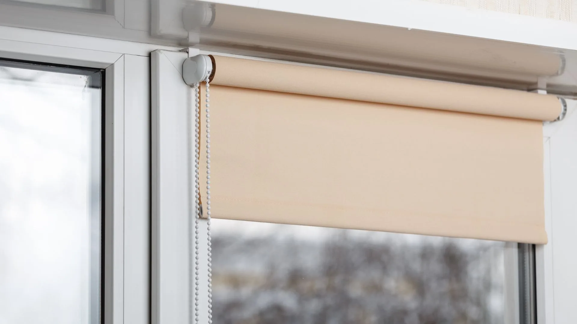 blackout roller shades