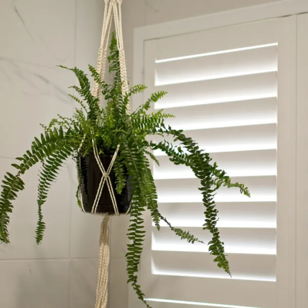 The Versatility of Indoor Plantation Shutters: Blending Modern & Classic
