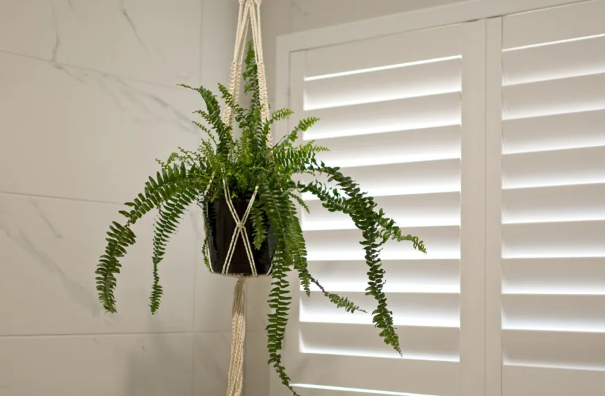 The Versatility of Indoor Plantation Shutters: Blending Modern & Classic