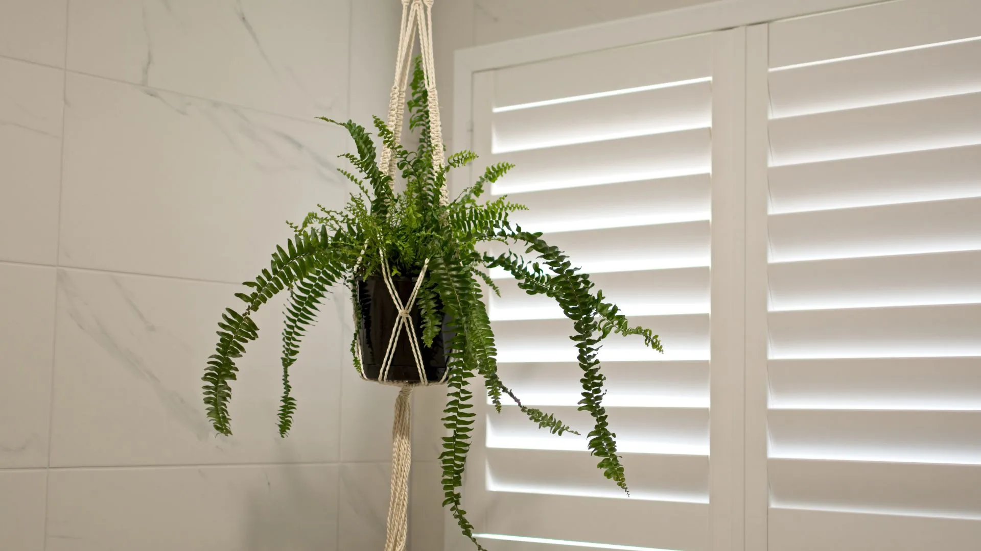 indoor plantation shutters