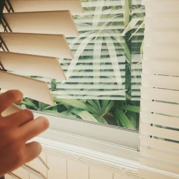 Shutters vs Blinds: Energy & Light Comparison
