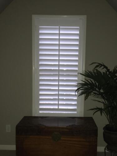Judy Hood - IMG_1034